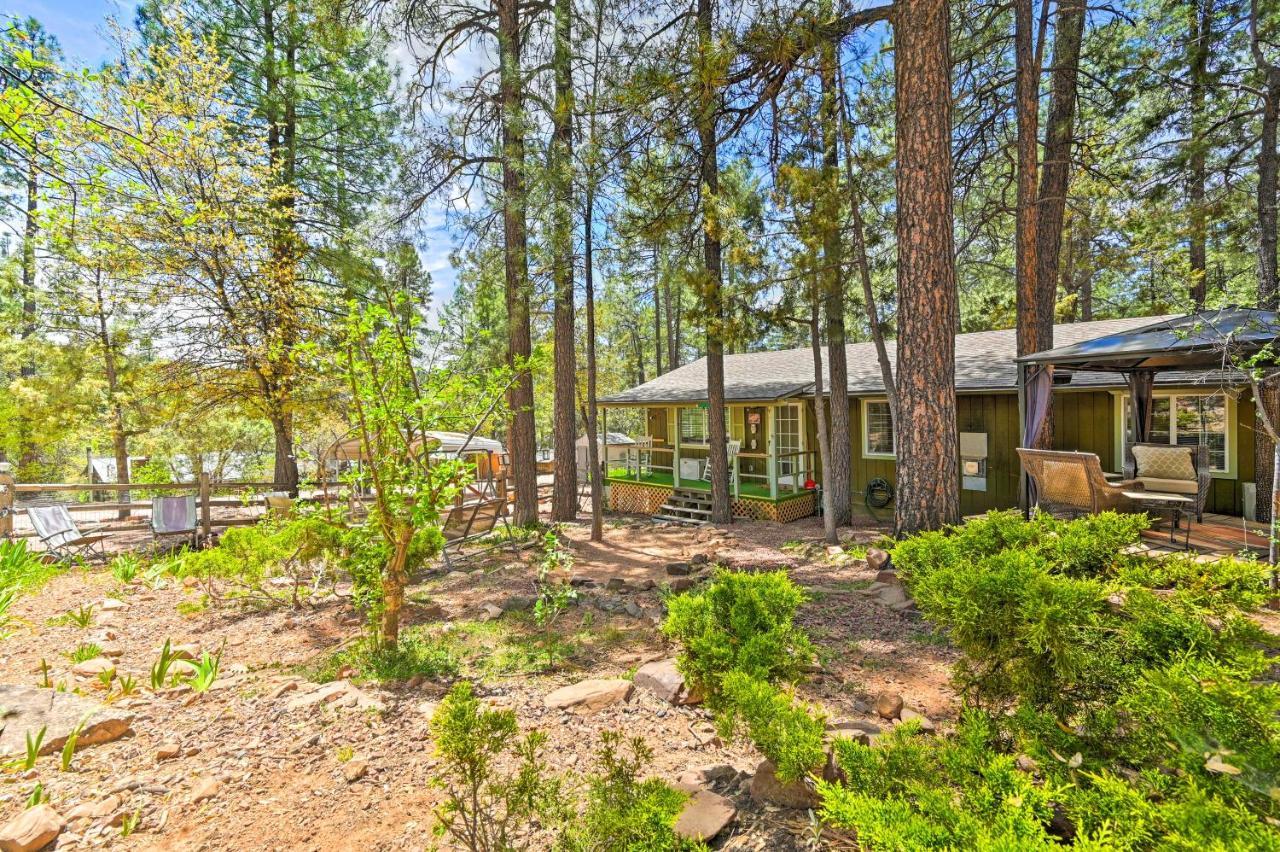 Pine Cabin In The Woods With Yard And Grill! Exterior photo